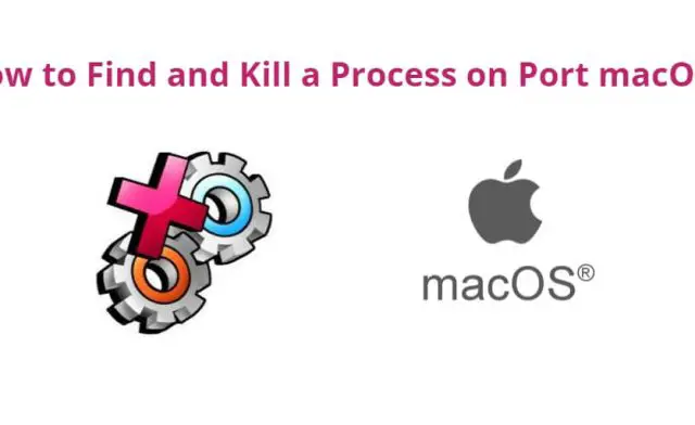 Find and Kill Process on Port macOS