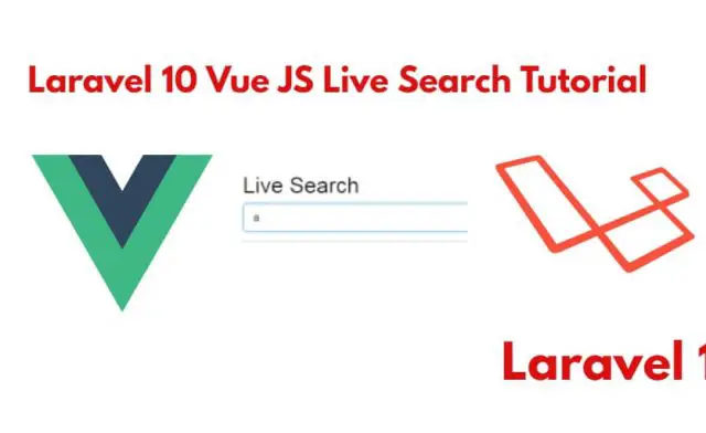 Vue js Live Search Functionality in Laravel 10