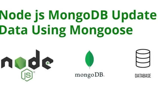 Node js MongoDB Update Data Using Mongoose Tutorial