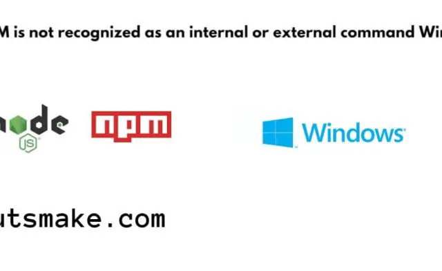 NPM is not recognized as an internal or external command Windows 11|10
